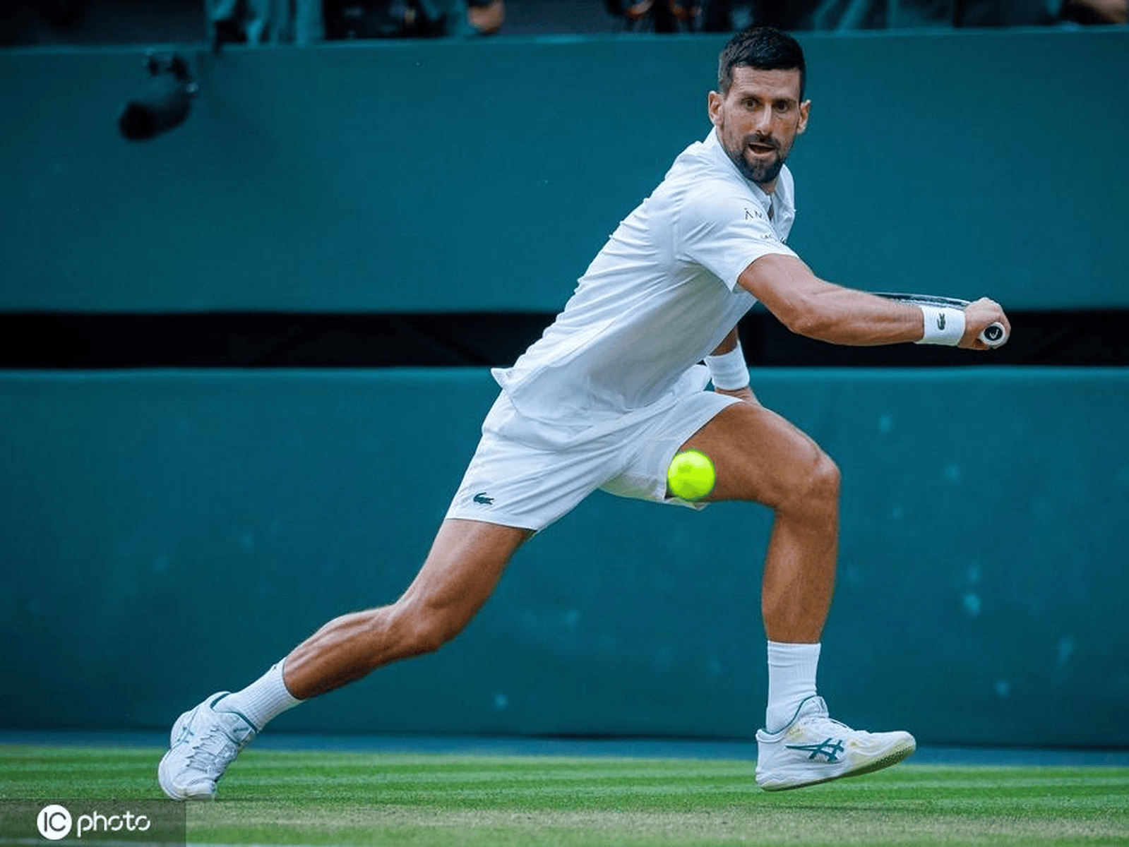 世界杯2026-戴维斯杯横扫澳网，德约科维奇刷新纪录  第2张