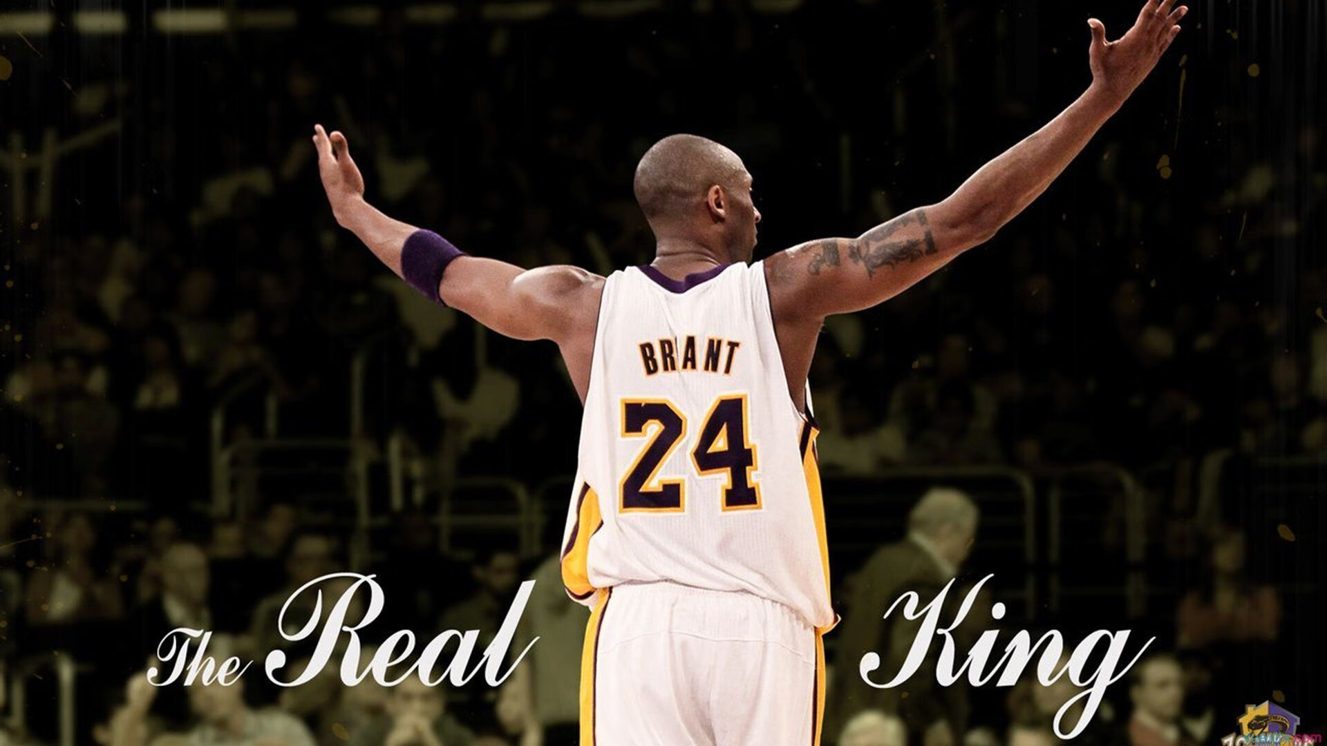 开云体育-奥亚尔萨瓦尔，沉默的利刃，在安菲尔德之夜刺穿紫百合